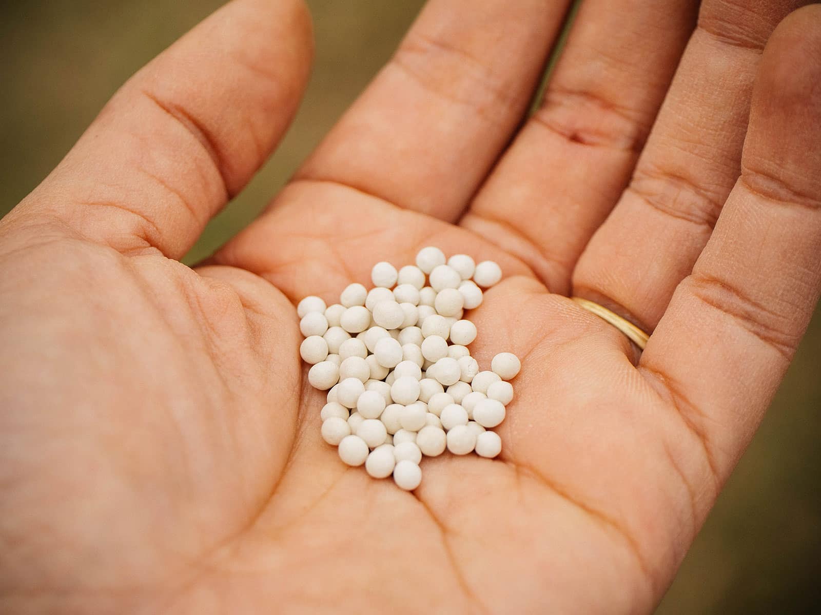 Pelleted carrot seeds in the palm of a woman's hand
