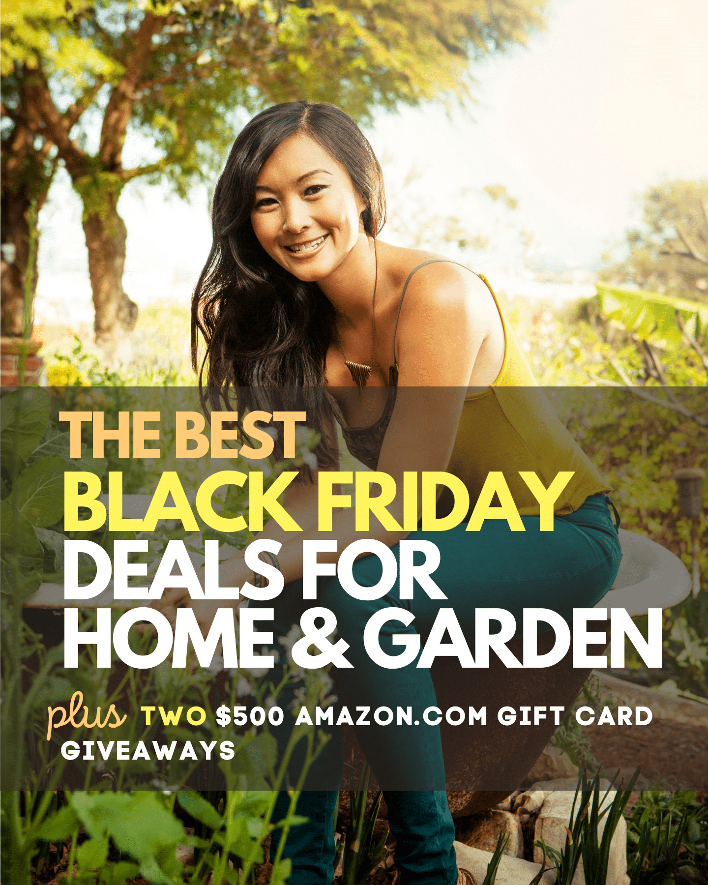Graphic of Linda Ly promoting Amazon's Black Friday sale and gift card giveaway