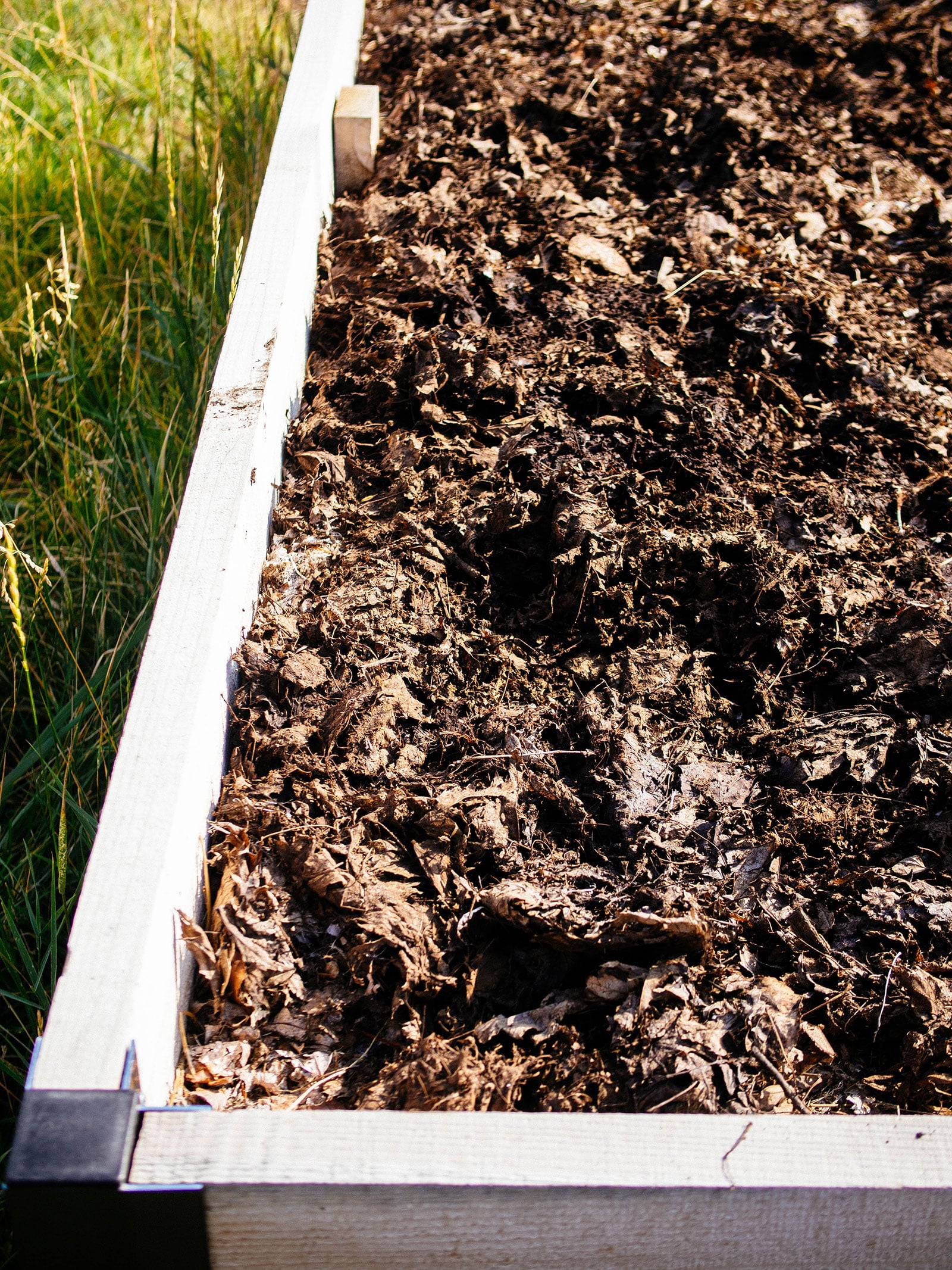 Leaf compost used as mulch in a raised bed