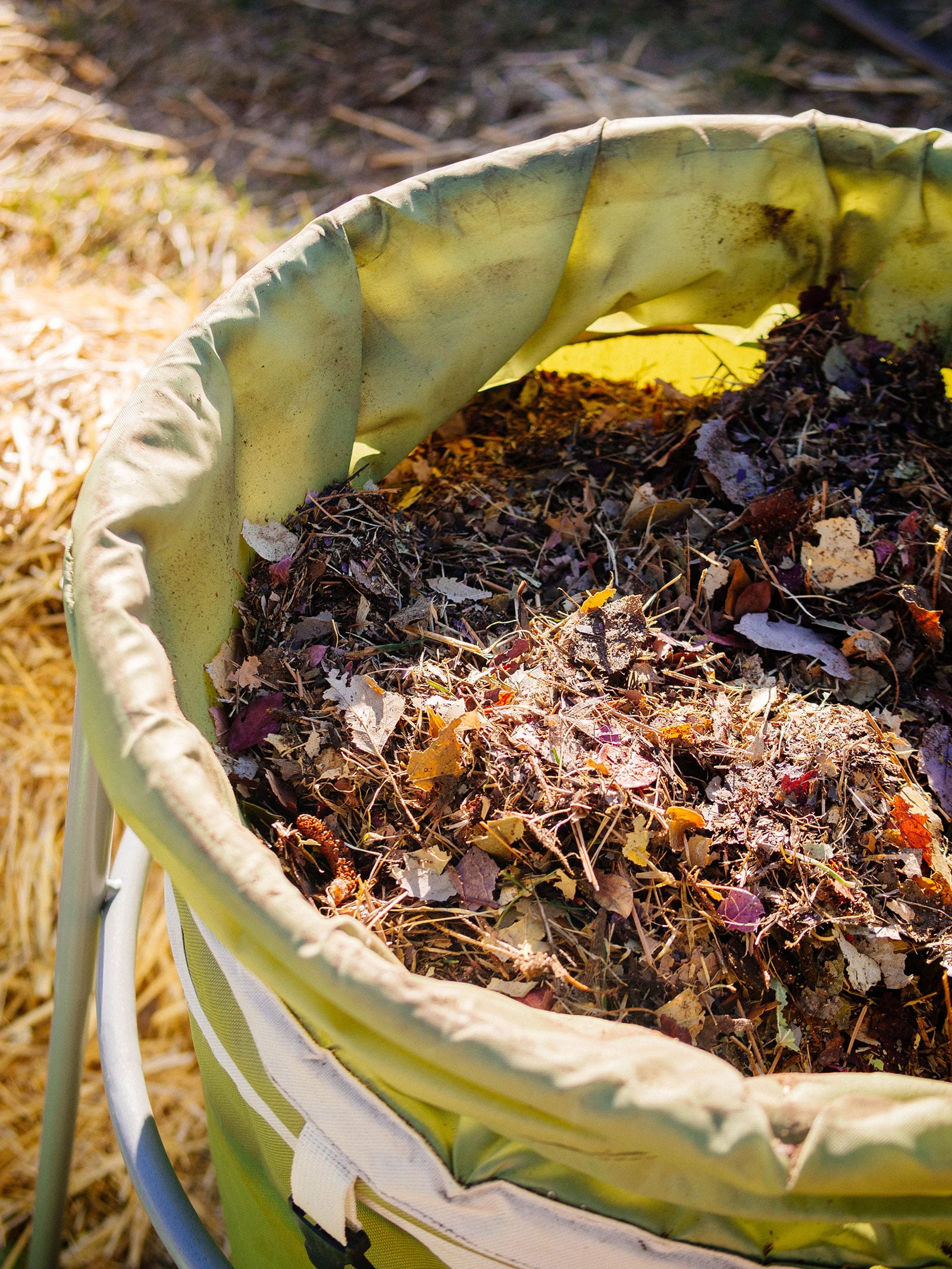 Green canvas leaf bin filled with shredded leaves