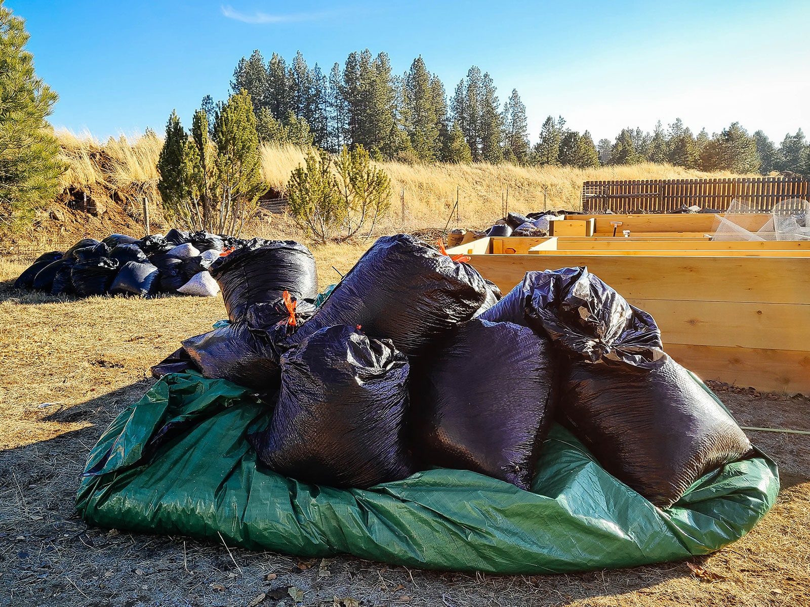 Black yard bags filled with leaves and piled on top of a green tarp in the garden