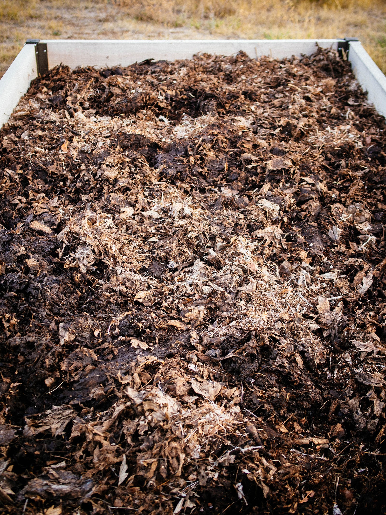 Leaf mold spread across a raised bed