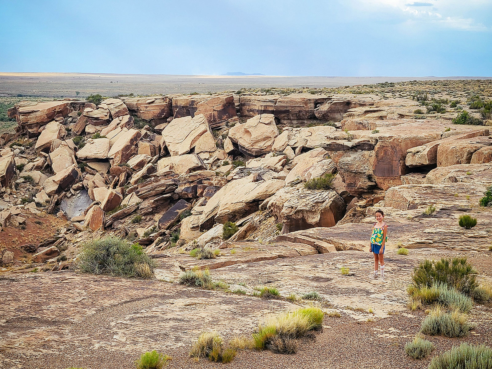 Girl standing on top of a canyon at Petrified Forest National Park
