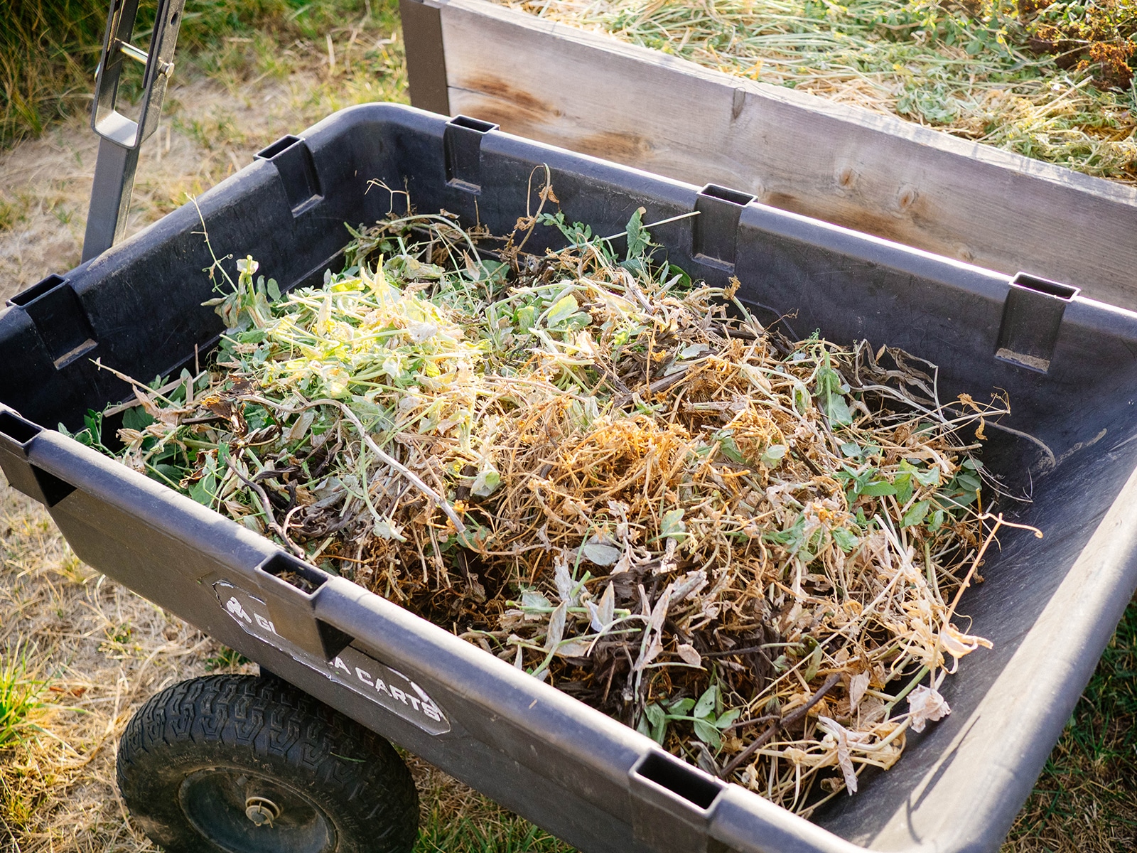 Black yard cart holding a pile of plant debris in a garden