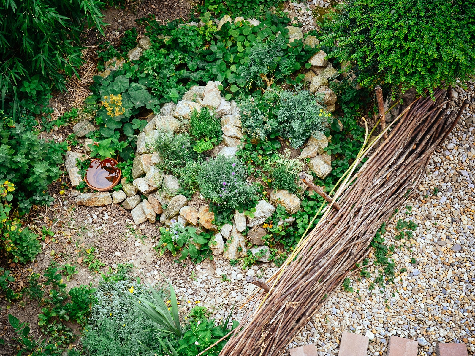 Woven willow branch border next to a spiral herb garden