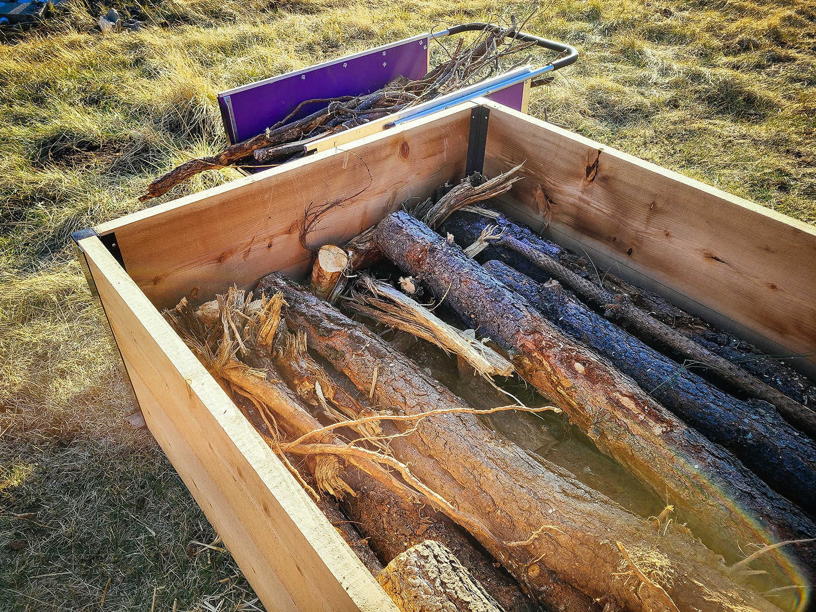 A tall raised garden bed filled halfway with cut logs with a purple wheelbarrow in the background