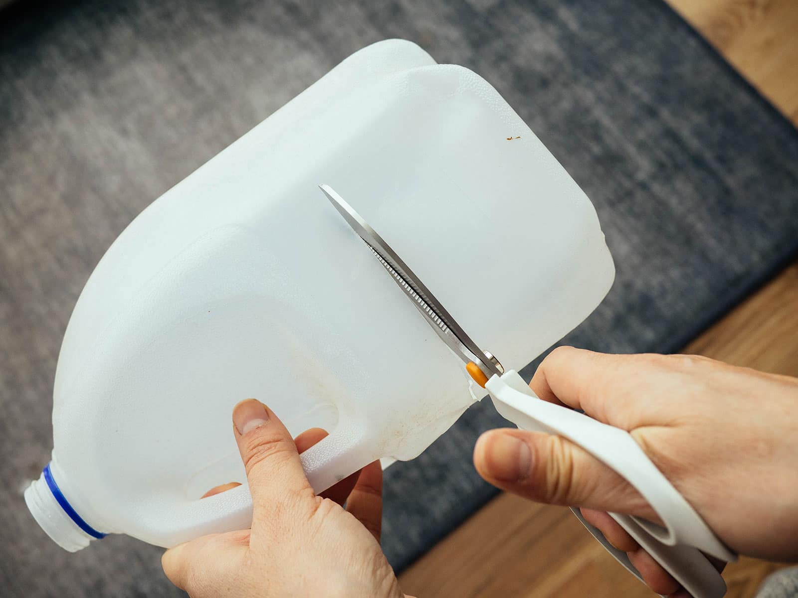 Empty 1-gallon plastic jug being cut in half with scissors