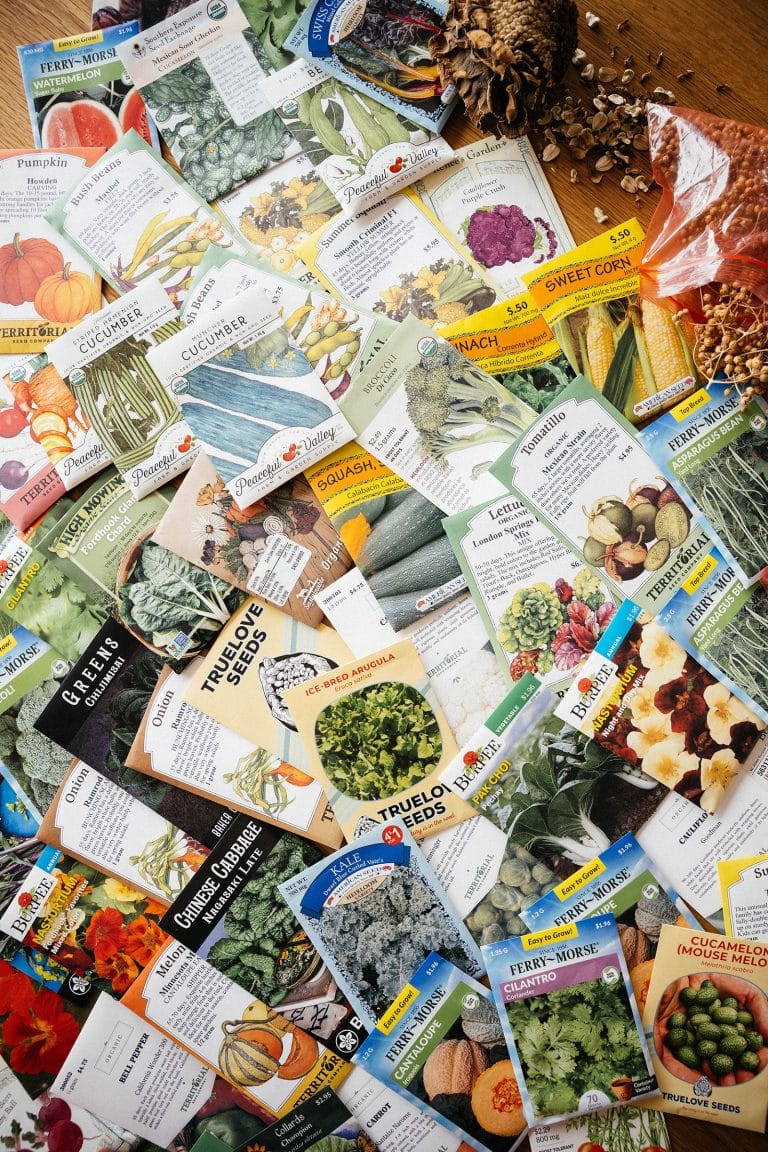 A pile of assorted seed packets and collected garden seeds spread across a table