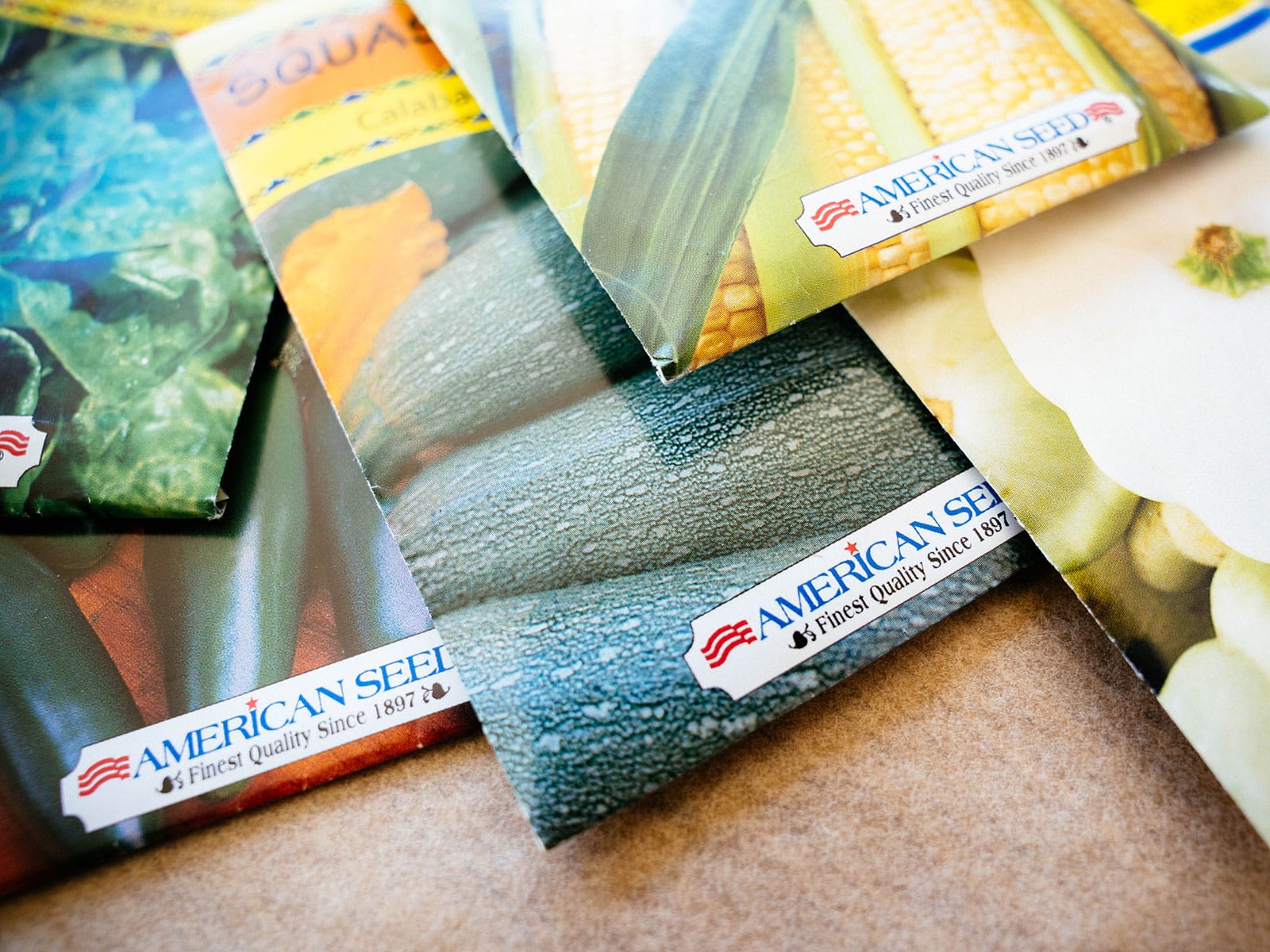Where to Find Quality Seeds For Free or Cheap - Garden Betty