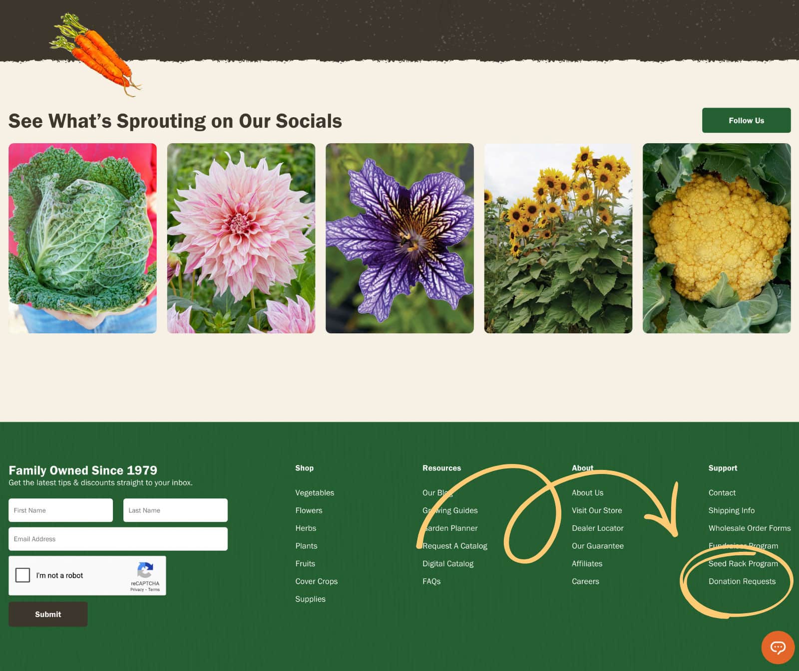 Where to Find Quality Seeds For Free or Cheap - Garden Betty