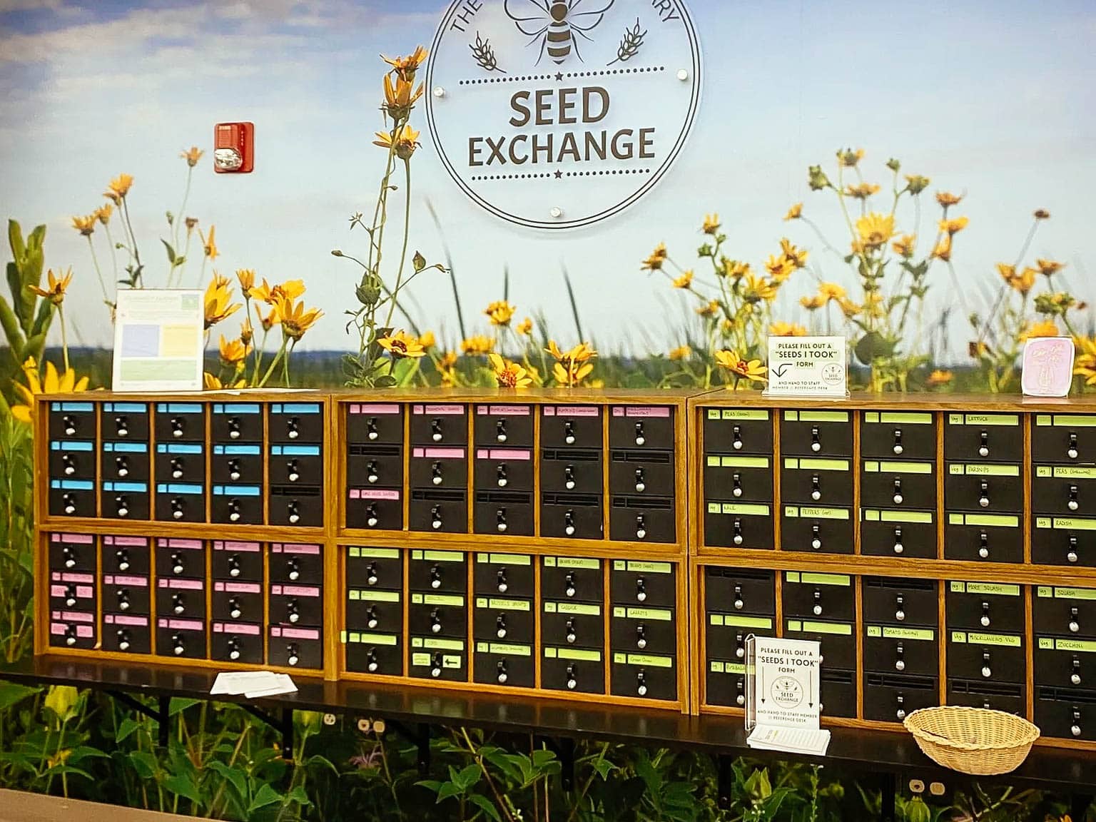 Where to Find Quality Seeds For Free or Cheap - Garden Betty