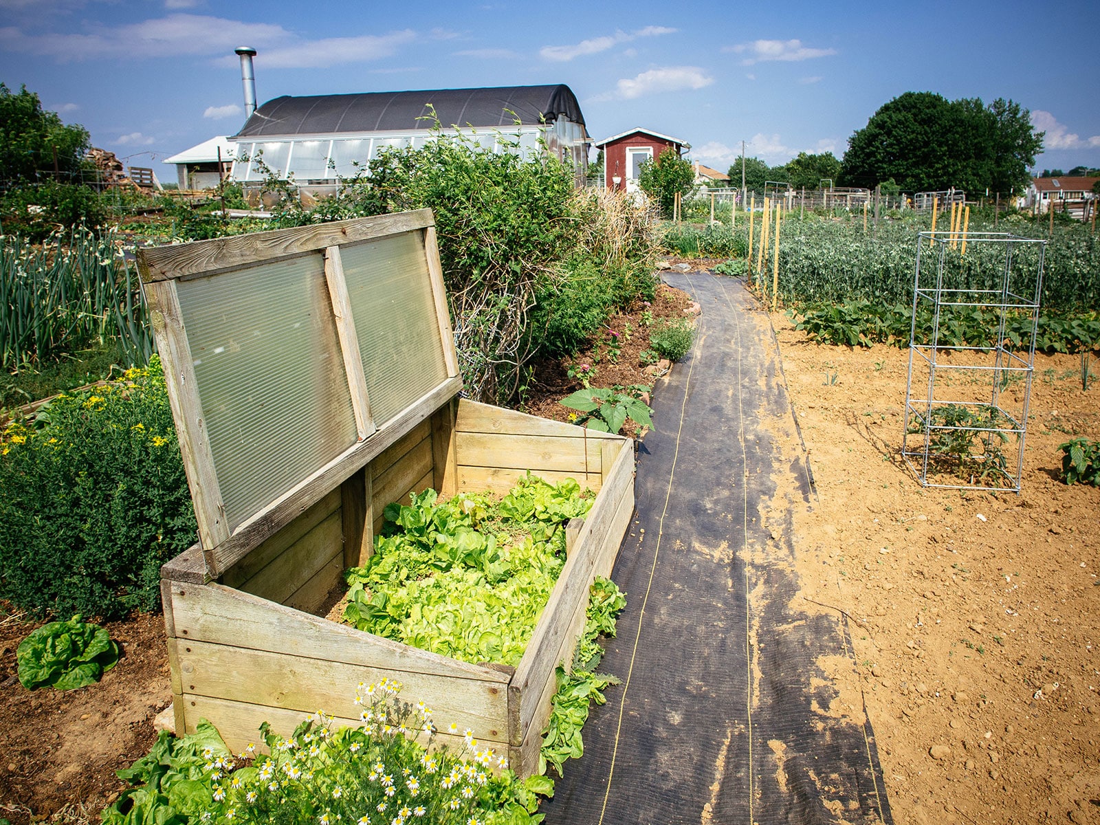 Low Tunnels vs. Cold Frames: 9 Reasons I Prefer One Season Extension Method Over the Other - Garden Betty