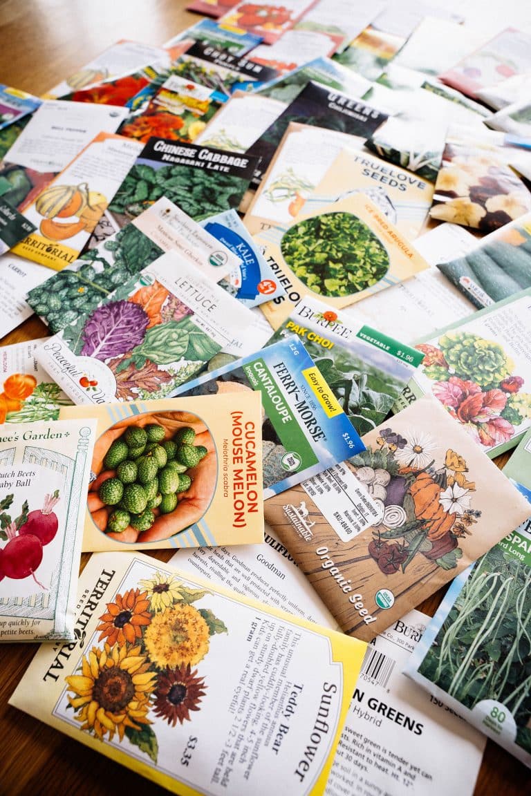 An assortment of seed packets scattered across a table