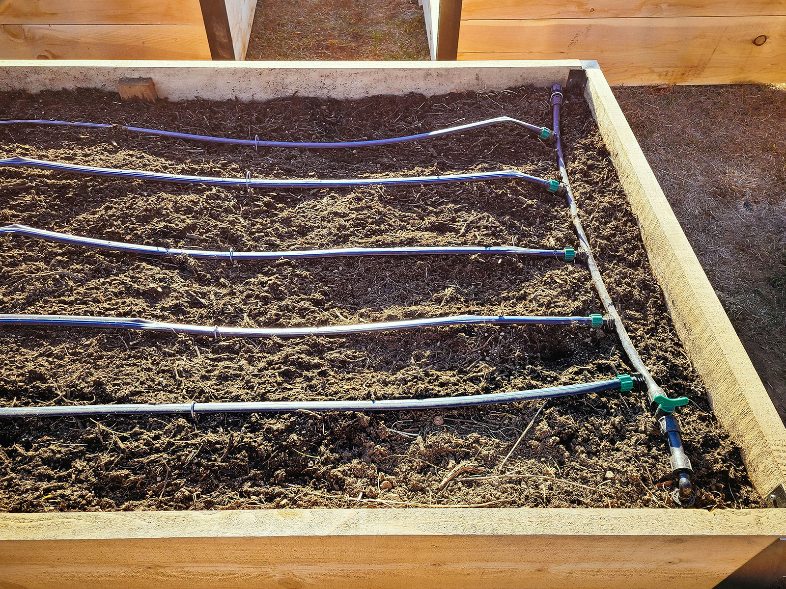 An empty wooden raised bed with rows of drip tape