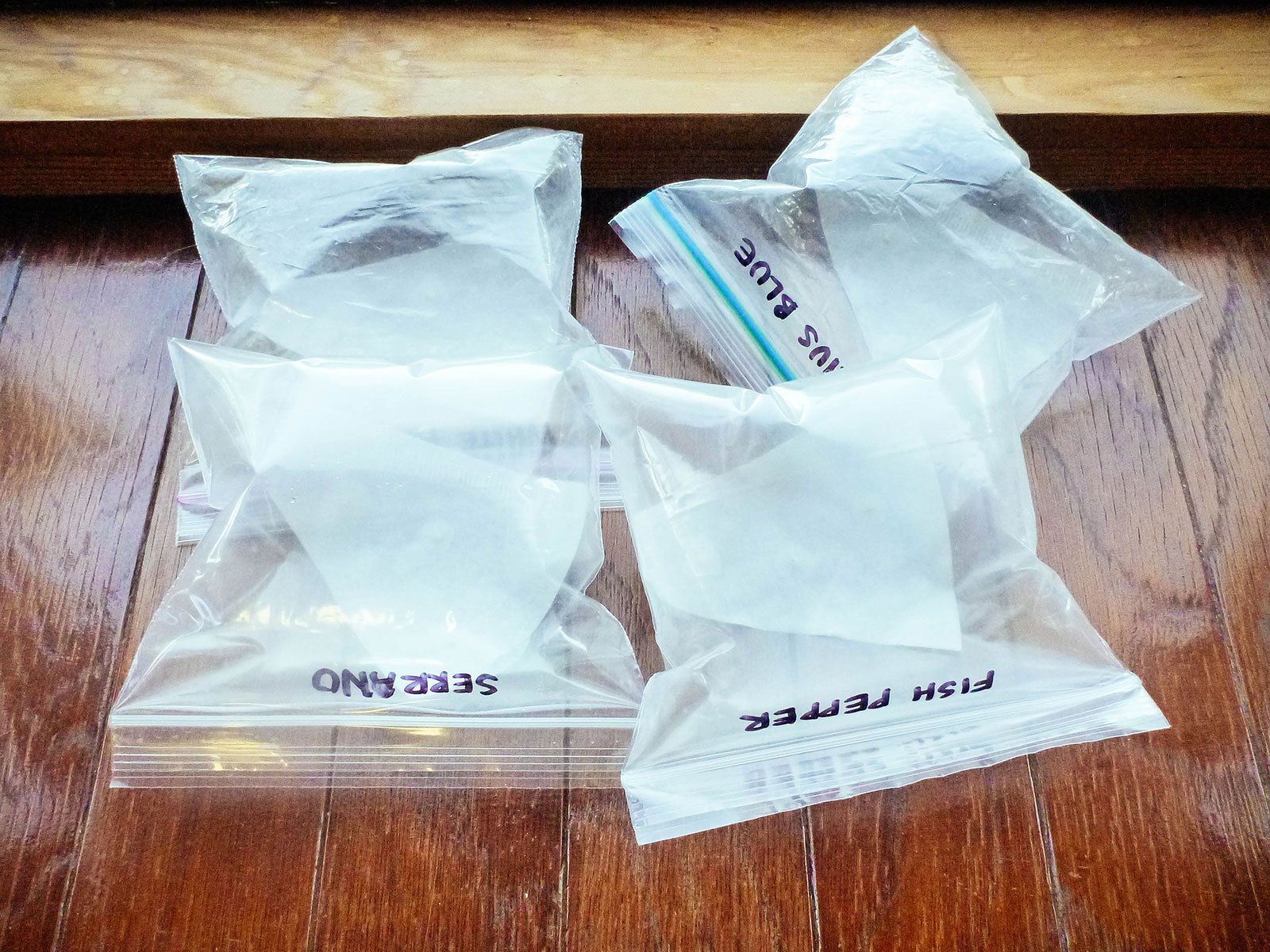 Small plastic sandwich bags filled with air, containing wet paper coffee filters inside