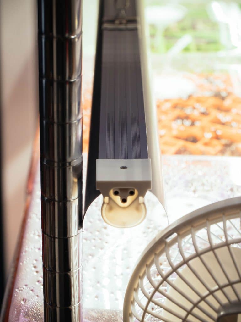 Top view of an LED light bar hanging above trays of indoor-grown seedlings