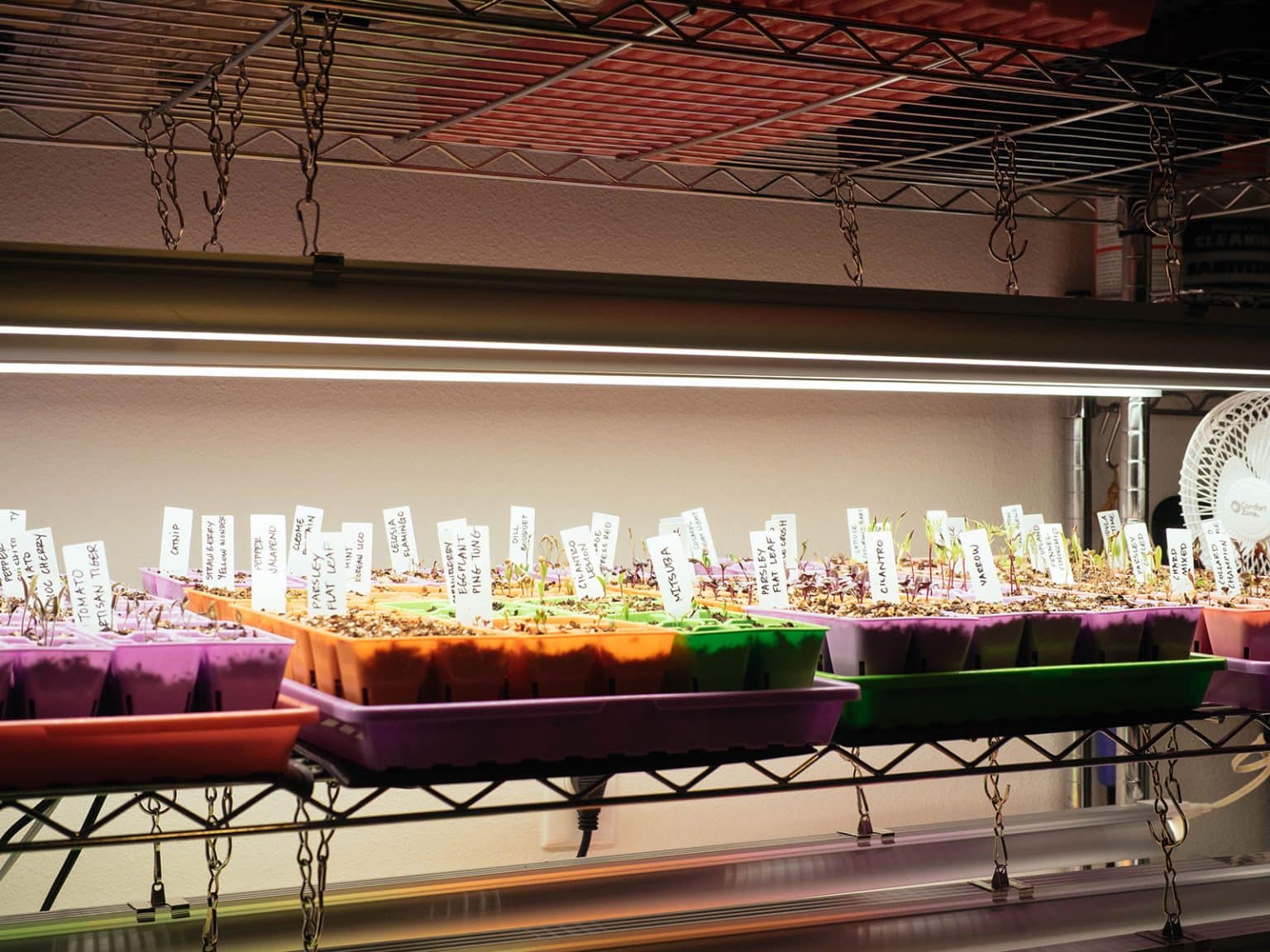 A Simple Guide to LED Grow Lights for Seed Starting - Garden Betty