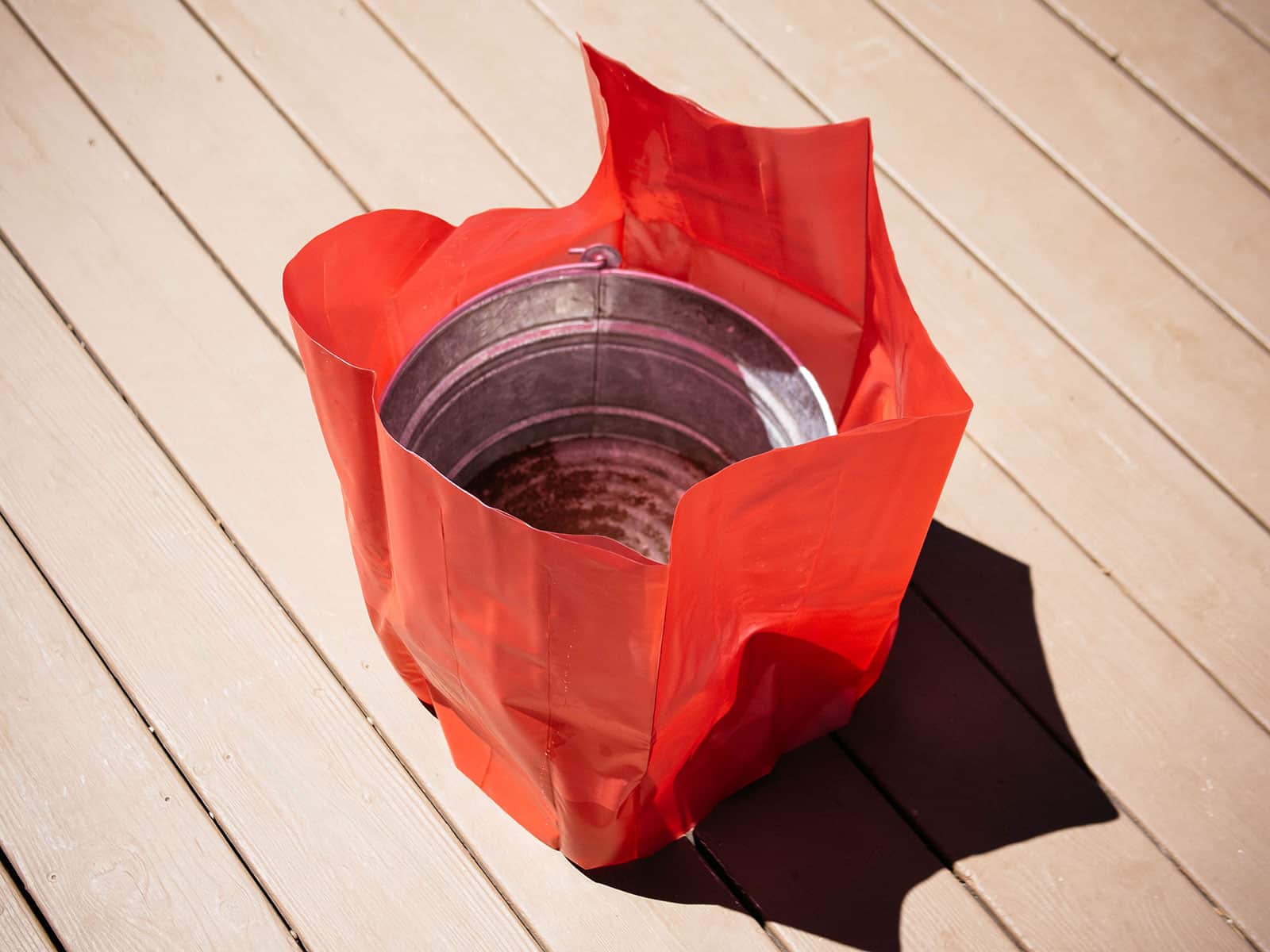 Empty cherry plant protector placed around a metal tub for support