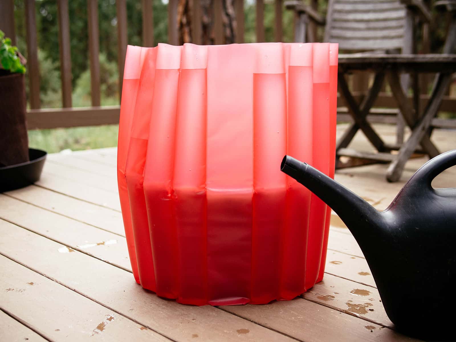Red tomato t-shirt wrapped around a large tub for support, filling with water from a watering can