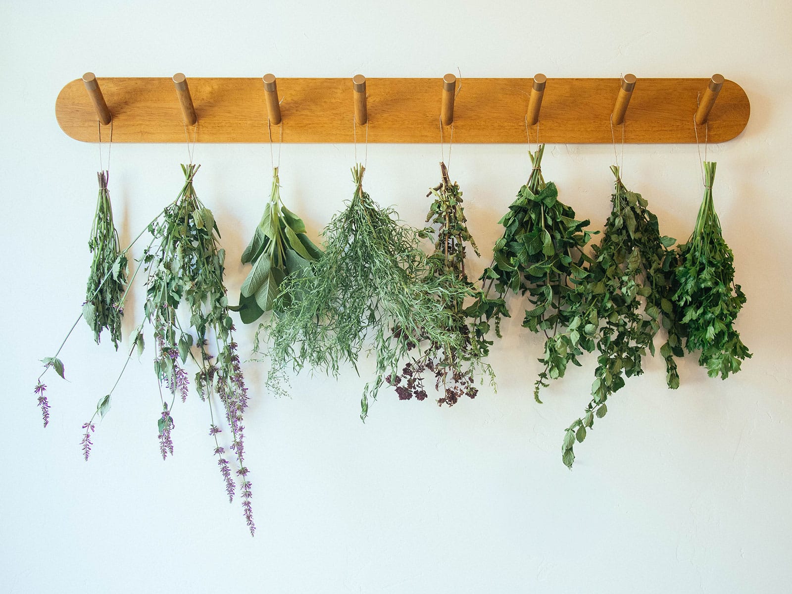 Dried herbs hanging from wooden rack on wall, including lavender, rosemary, dill, and mint bundles.